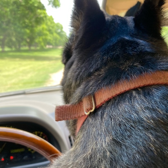 Meet your Posher, Linda - Picture 9 of 10